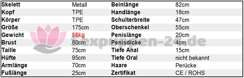 Datenblatt SP-AS-M-24-01 (Jian)