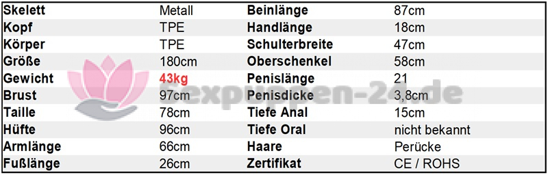 Datenblatt SP-AS-M-24-02 (Wang)