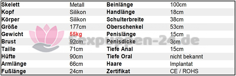 Datenblatt SP-AS-M-24-04 (Han)