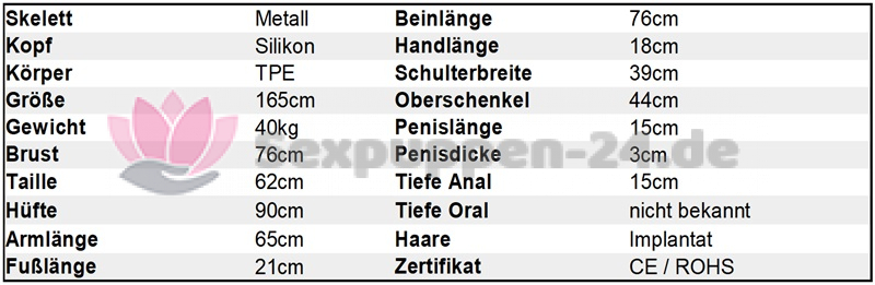 Datenblatt SP-EU-M-24-02 (Daniel)