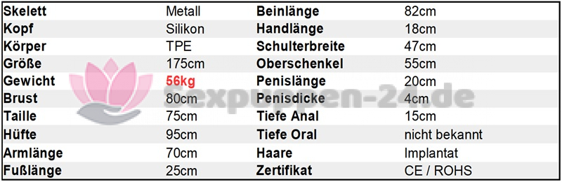 Datenblatt SP-EU-M-24-03 (Patrick 1)