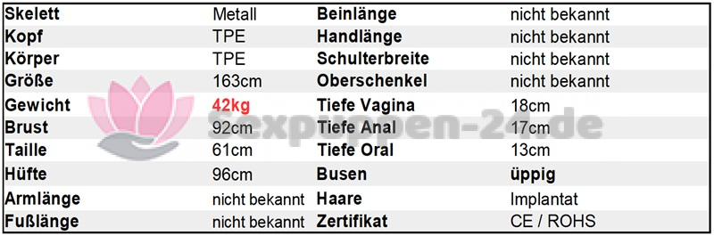 Datenblatt SP-AS-W-24-20-XX (Fujita)