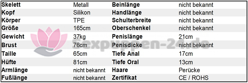 Datenblatt SP-EU-M-24-08-01 (David)