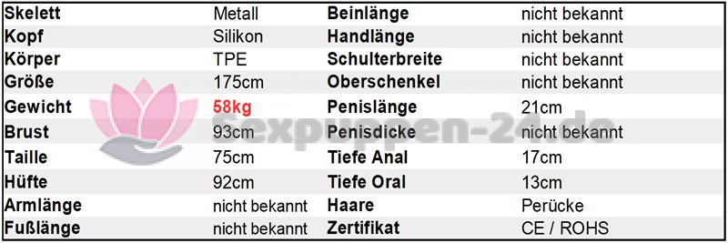 Datenblatt SP-EU-M-24-08-02 (David)