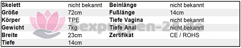 Datenblatt KT-BE-W-24-01