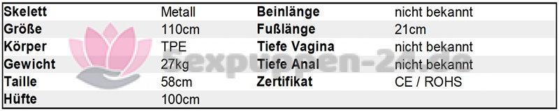 Datenblatt KT-BE-W-24-03