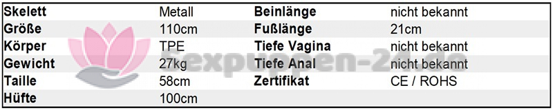 Datenblatt KT-BE-W-24-04