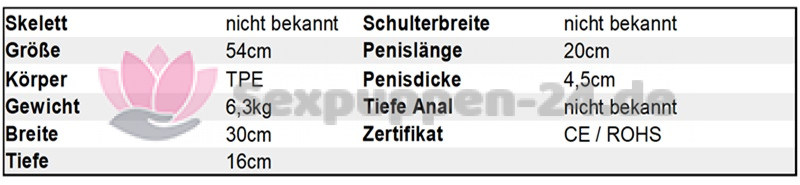 Datenblatt TO-OK-D-24-01