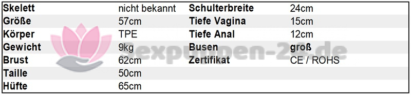 Datenblatt TO-OK-W-24-03