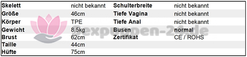 Datenblatt TO-OK-W-24-06