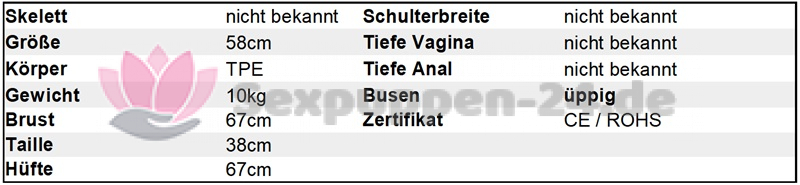 Datenblatt TO-OK-W-24-07