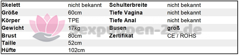 Datenblatt TO-OK-W-24-08